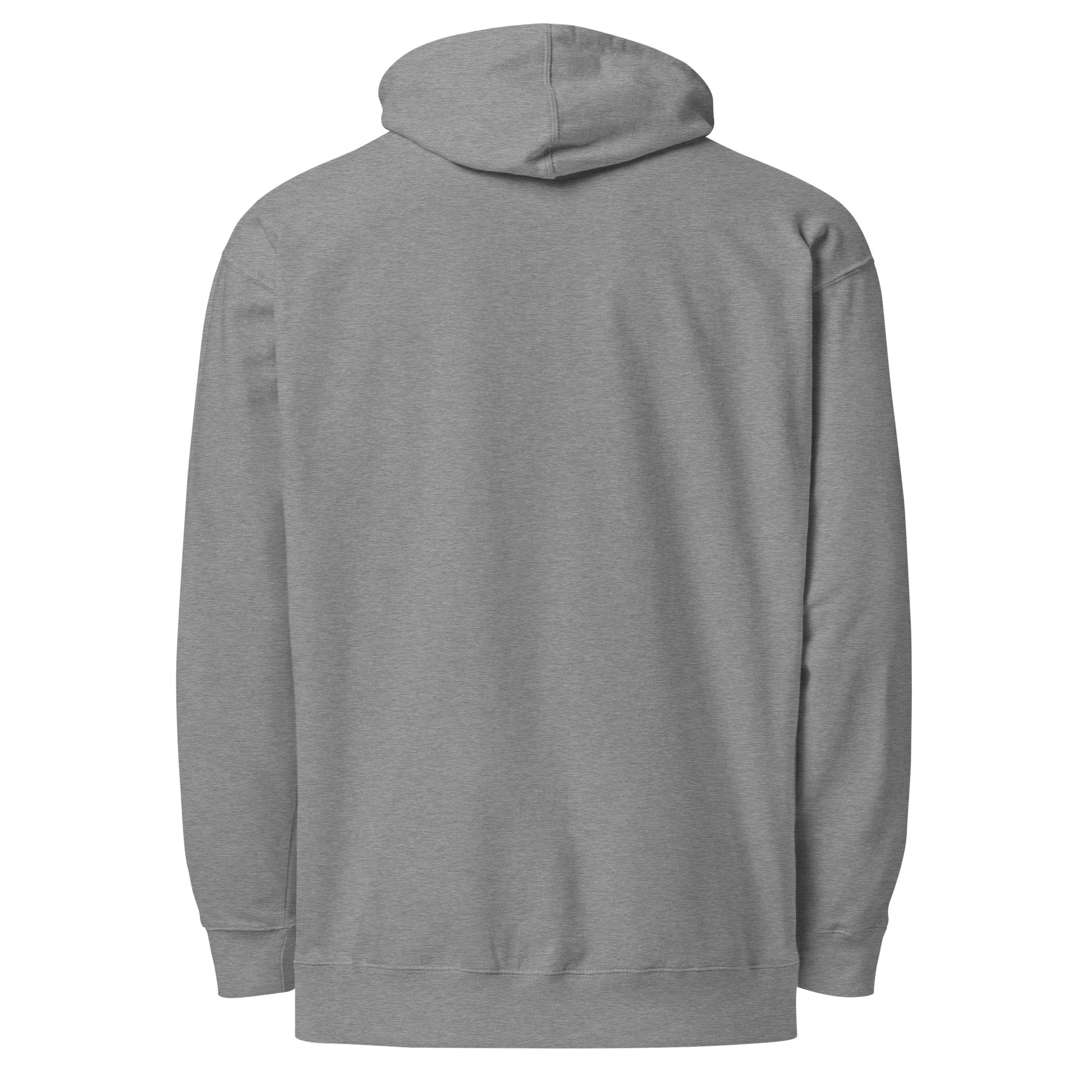 Risking Everything Daily - Sarcastic Hoodies | PureSarcasm in Hoodie Gunmetal Heather - Back View | Sarcastic Hoodies | PureSarcasm