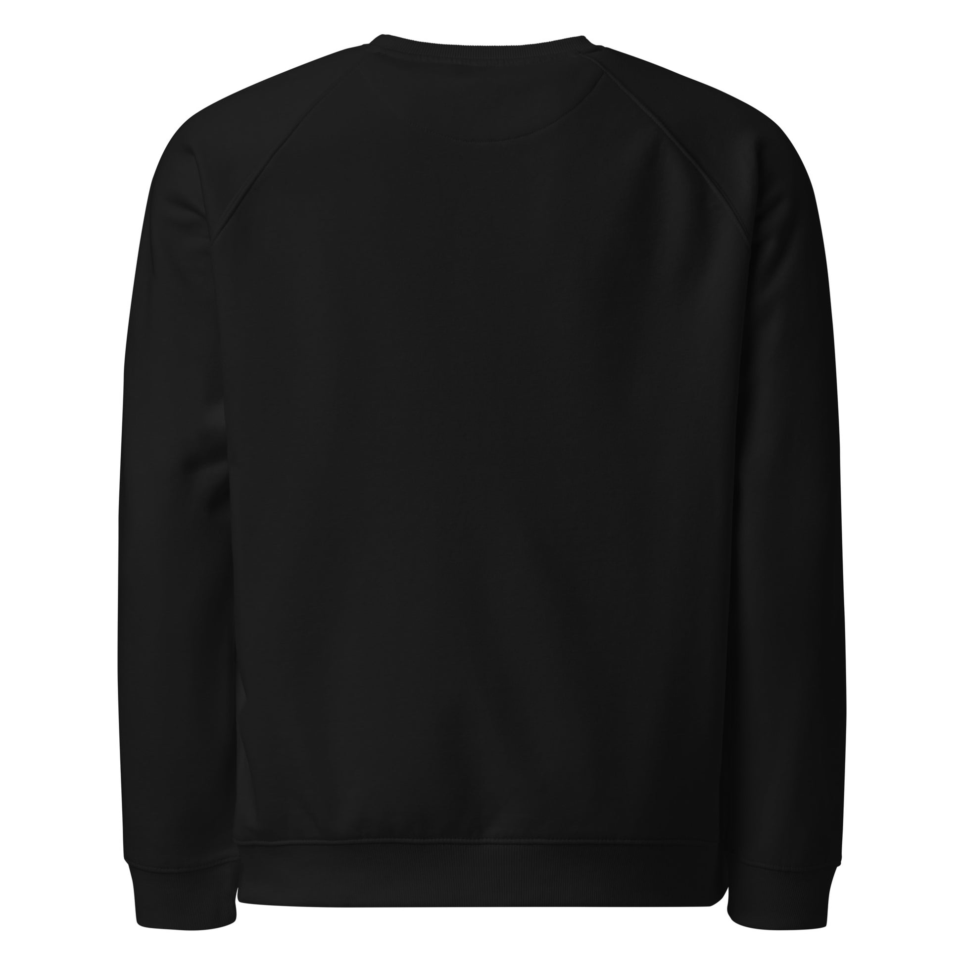 PureSarcasm sarcastic sweatshirt - raglan black, back view