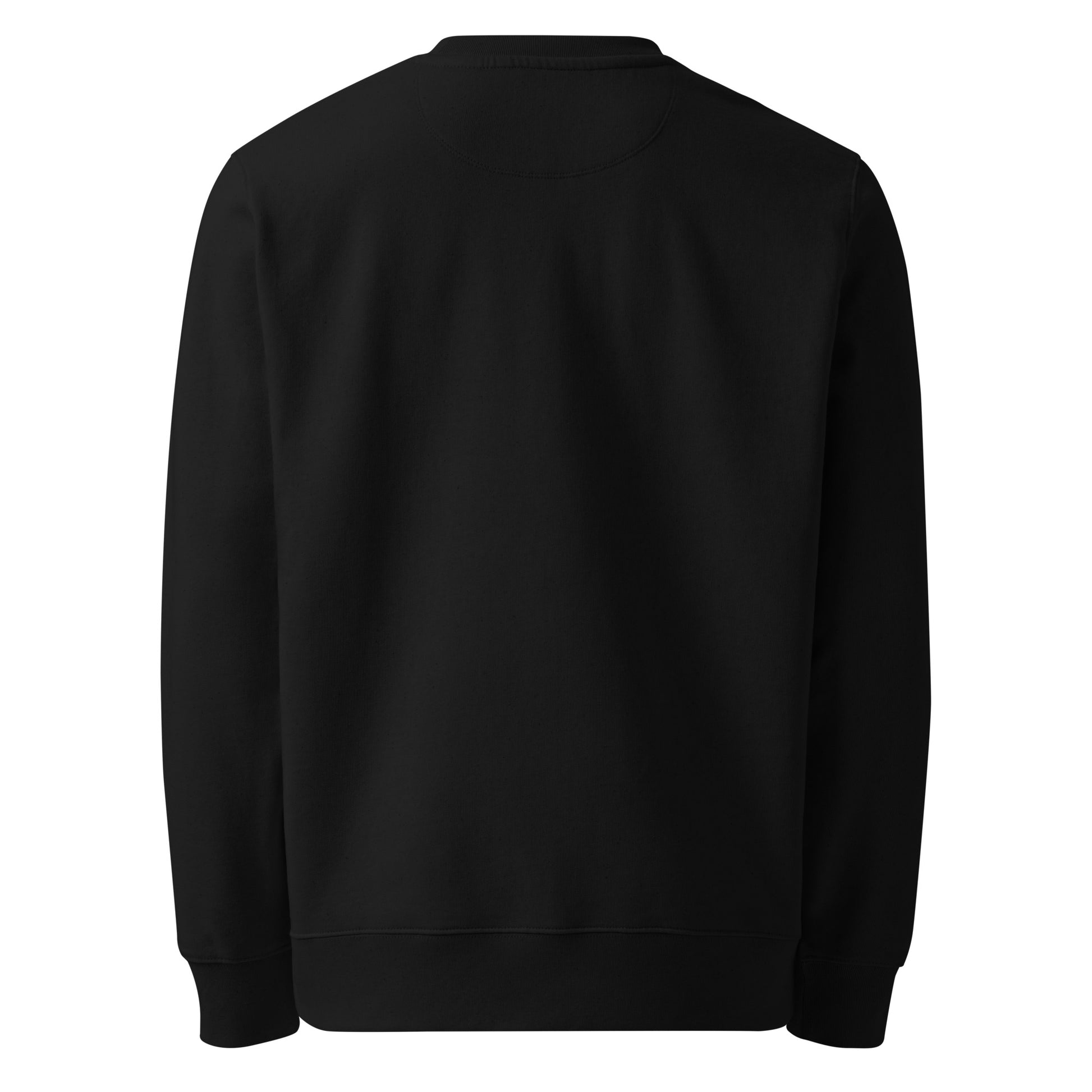 That’s Above My Pay Grade sarcastic sweatshirt - organic black, back view