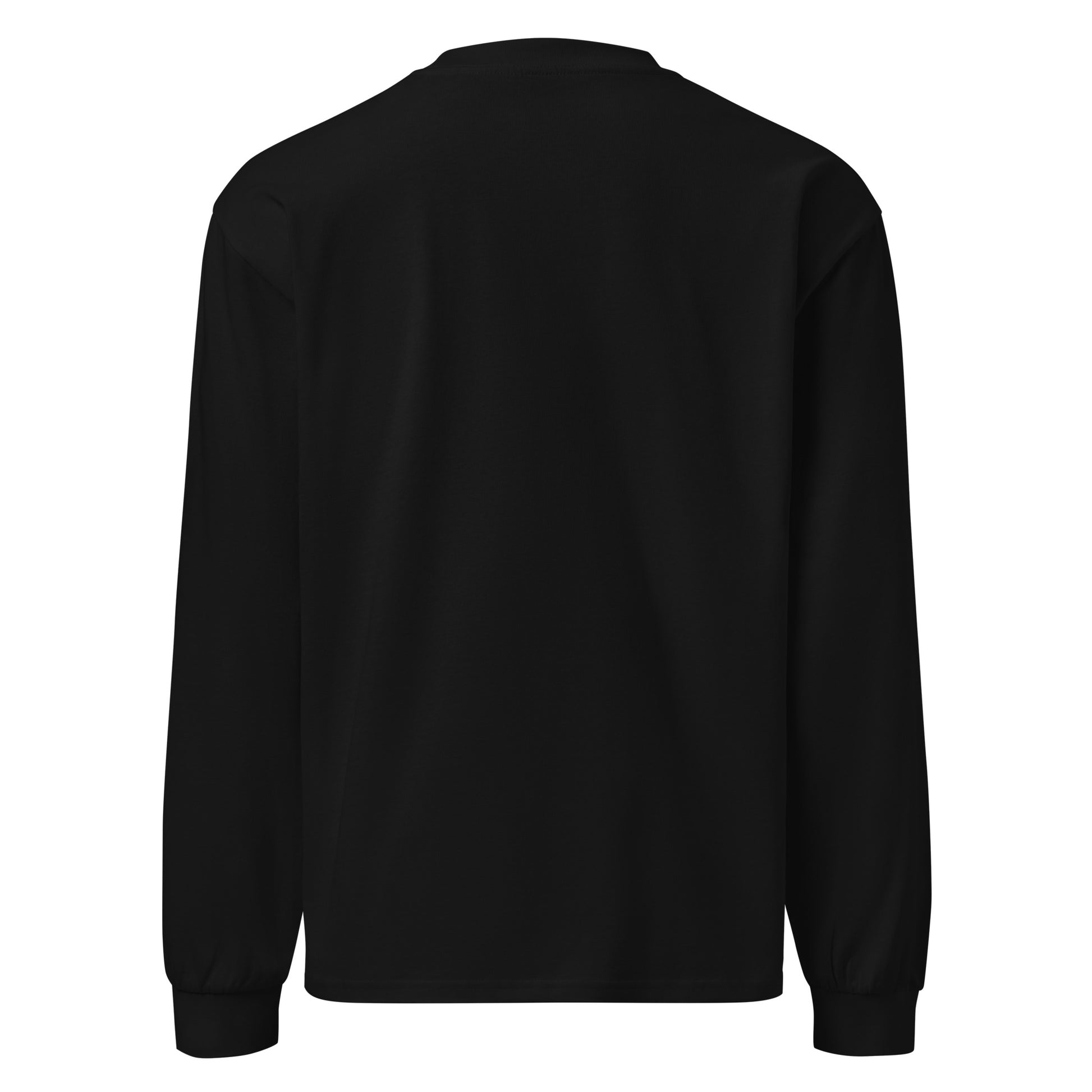 Overqualified. Underpaid. Emotionally bankrupt. - Sarcastic Long Sleeve Shirt in Sleeve Shirt Black - Back View | Sarcastic Long sleeve | PureSarcasm
