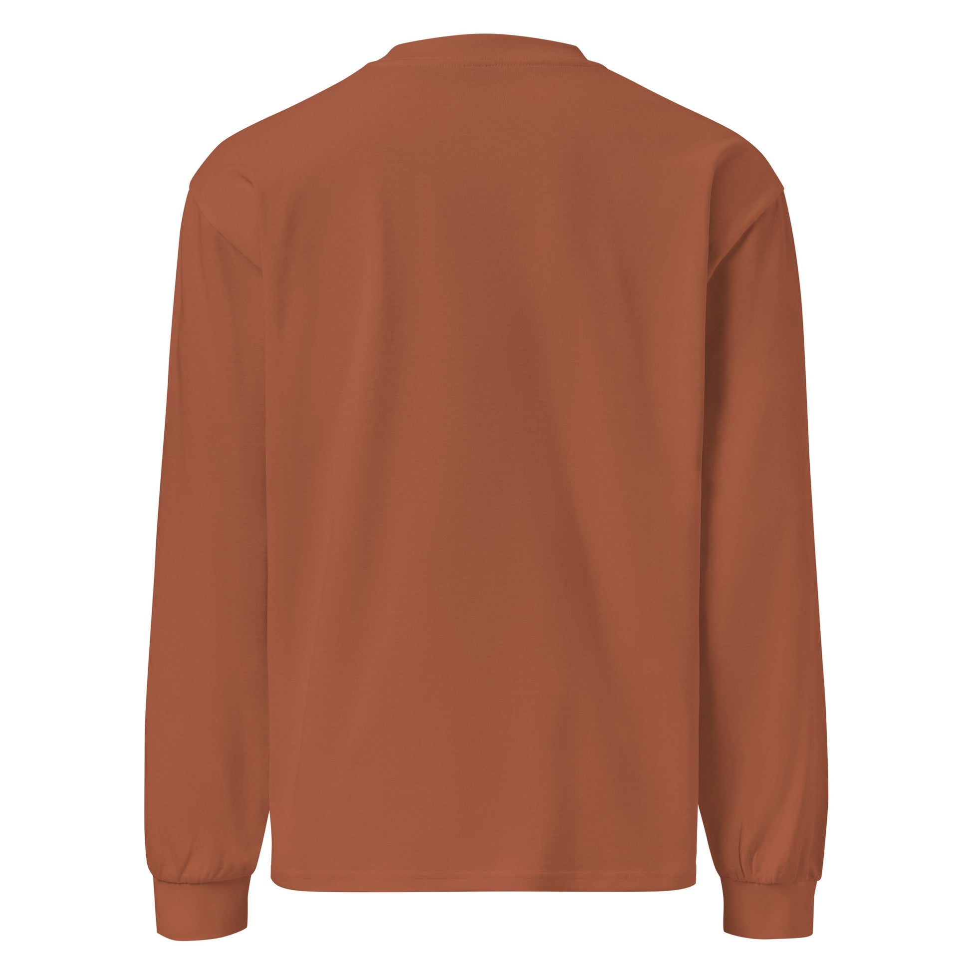 PureSarcasm sarcastic long sleeve shirt - clay, back view