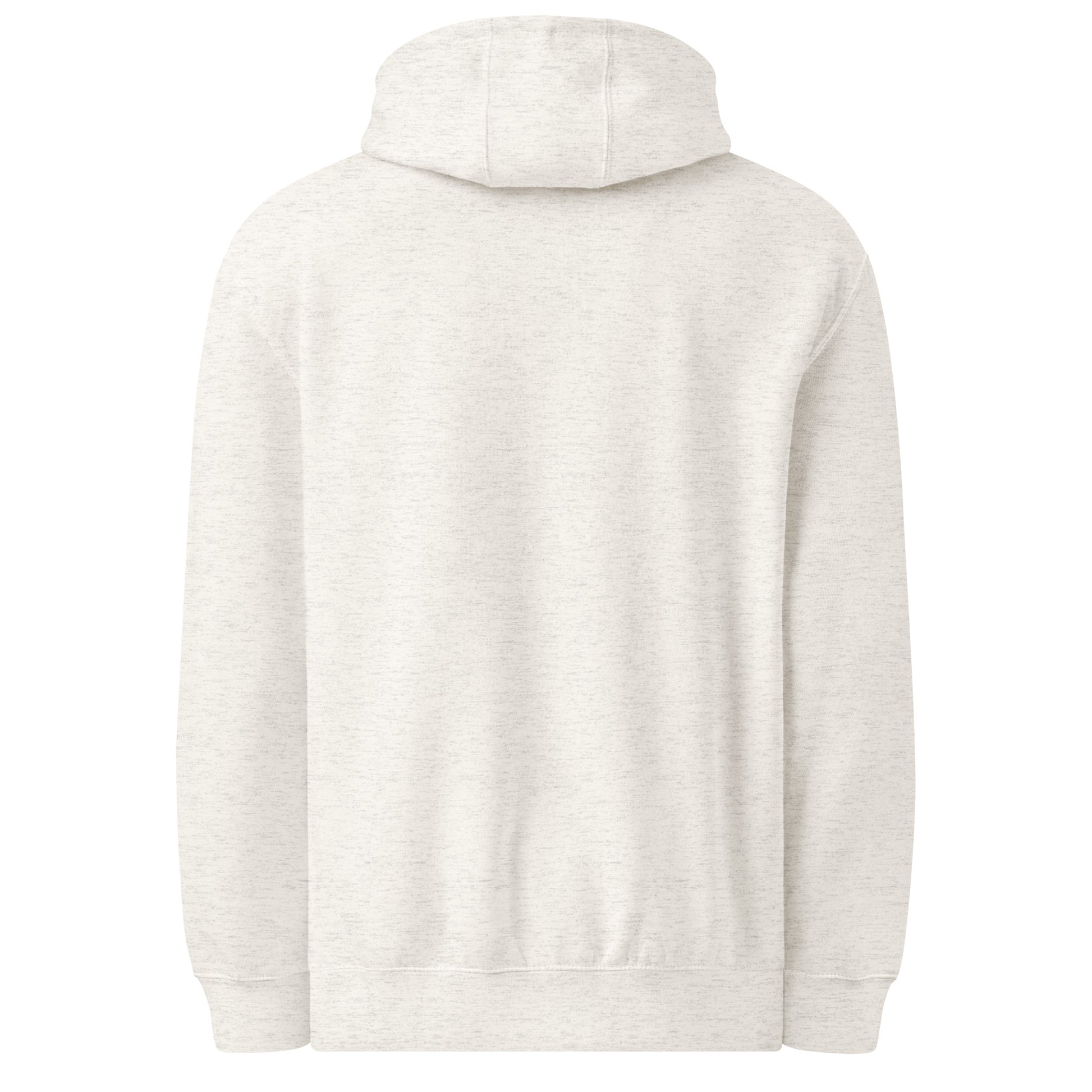 Ask Me About My Deadlines sarcastic hoodie - oatmeal heather, back view