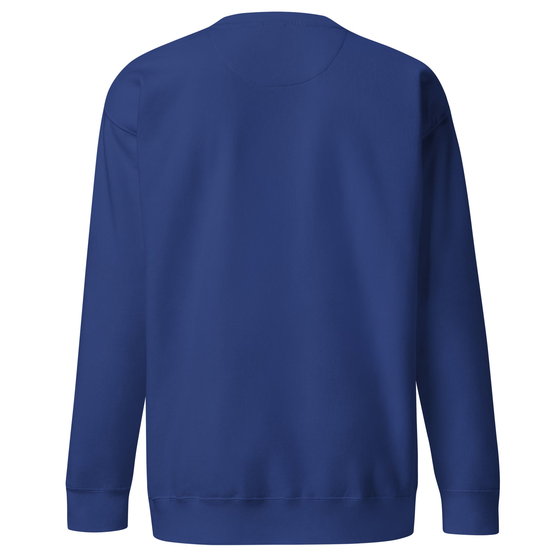 PureSarcasm sarcastic sweatshirt - team royal, back view