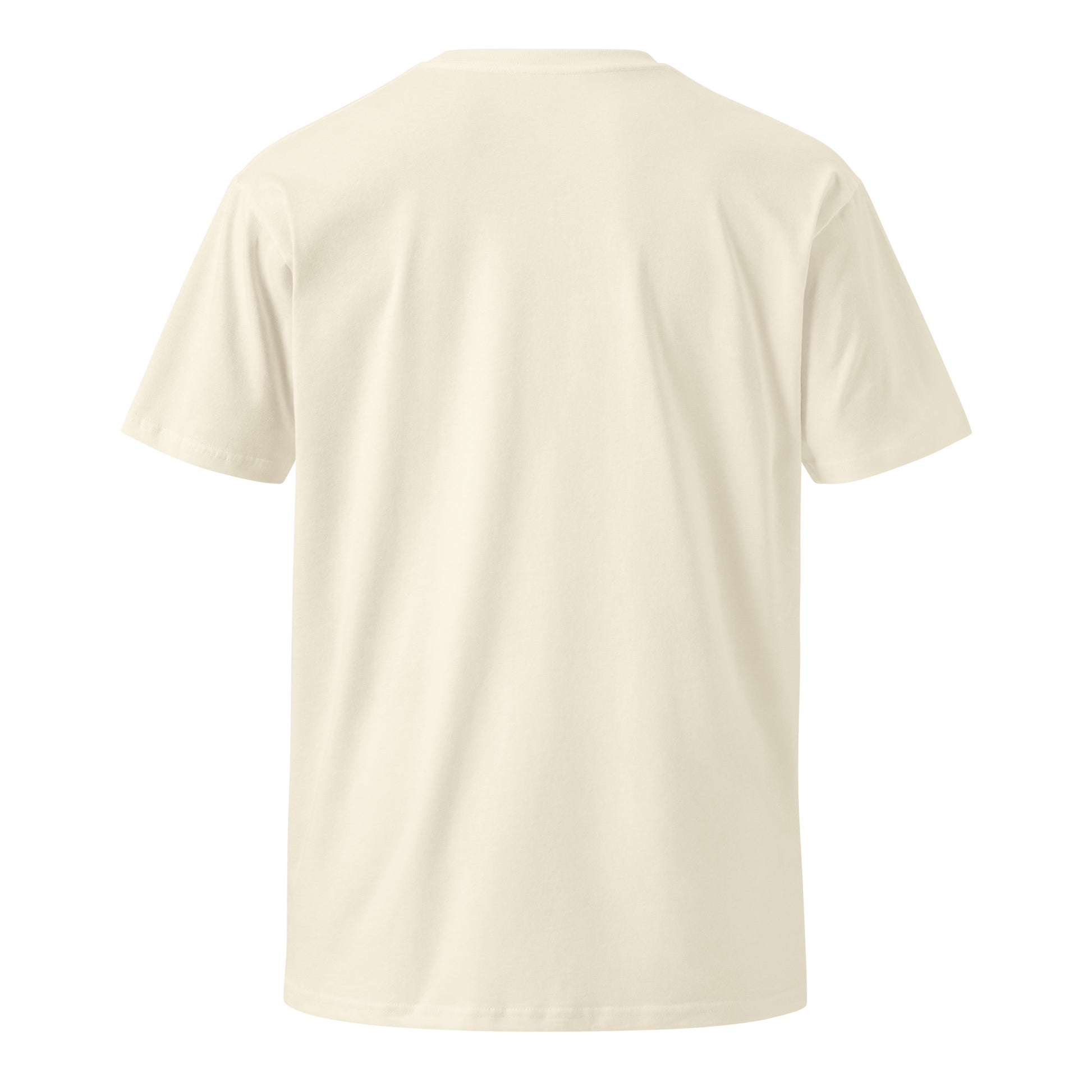 Opinion I Didn't Ask For sarcastic t-shirt - t natural, back view