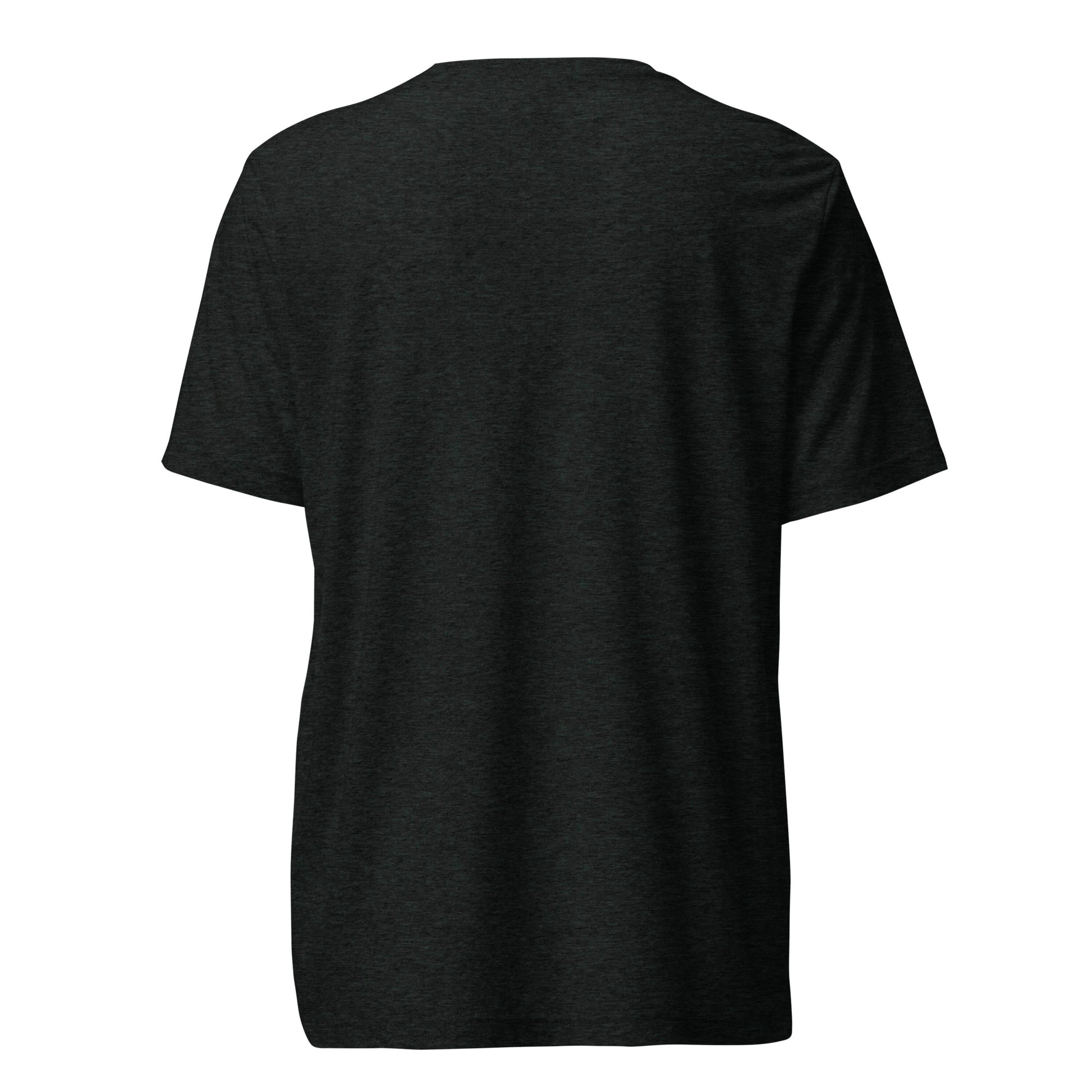 Teamwork Makes Me Tired sarcastic t-shirt - charcoal black triblend, back view