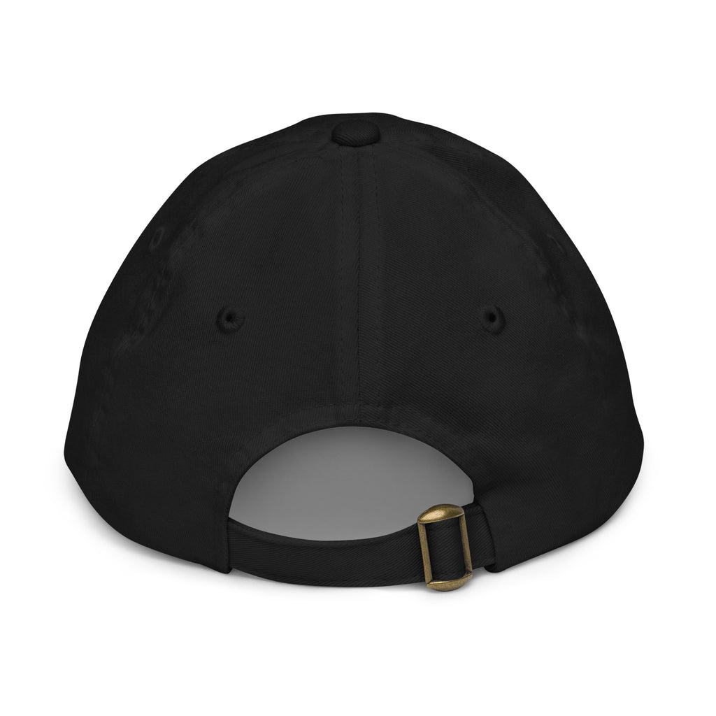 PureSarcasm sarcastic hat - baseball black, back view