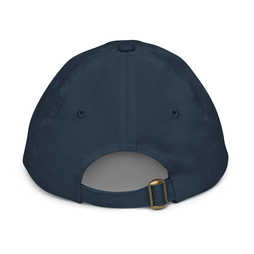 PureSarcasm sarcastic hat - baseball navy, back view